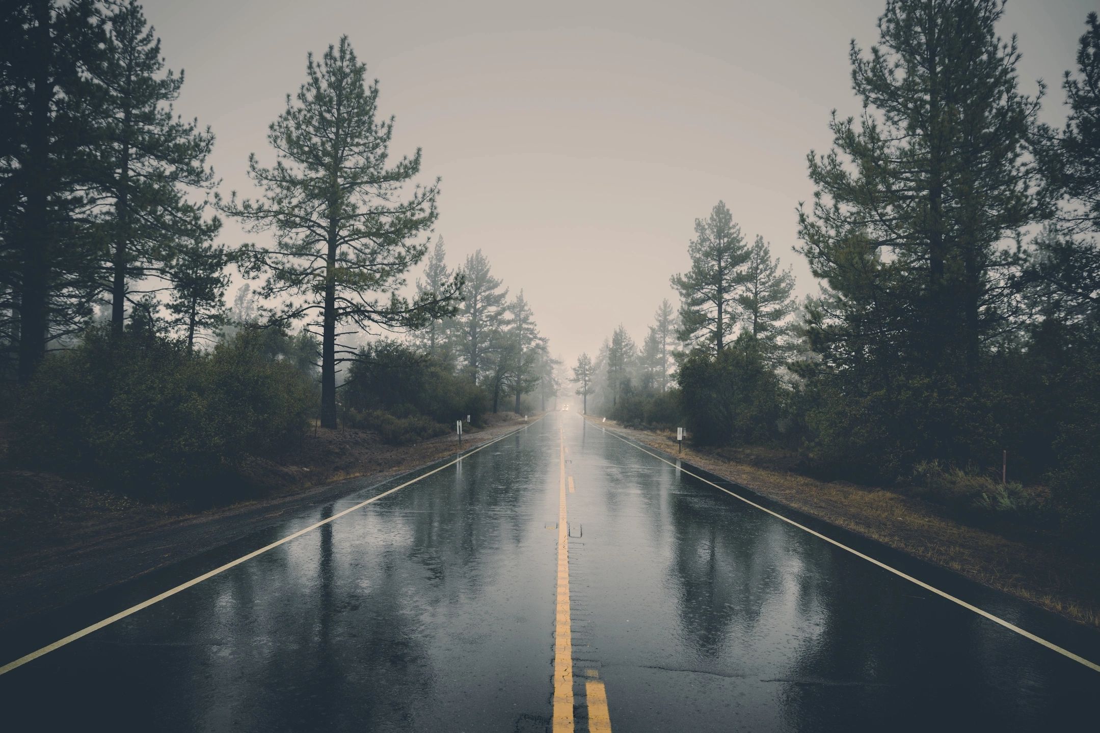 Overcoming Shame, Fear, and Lost Confidence After Failure
