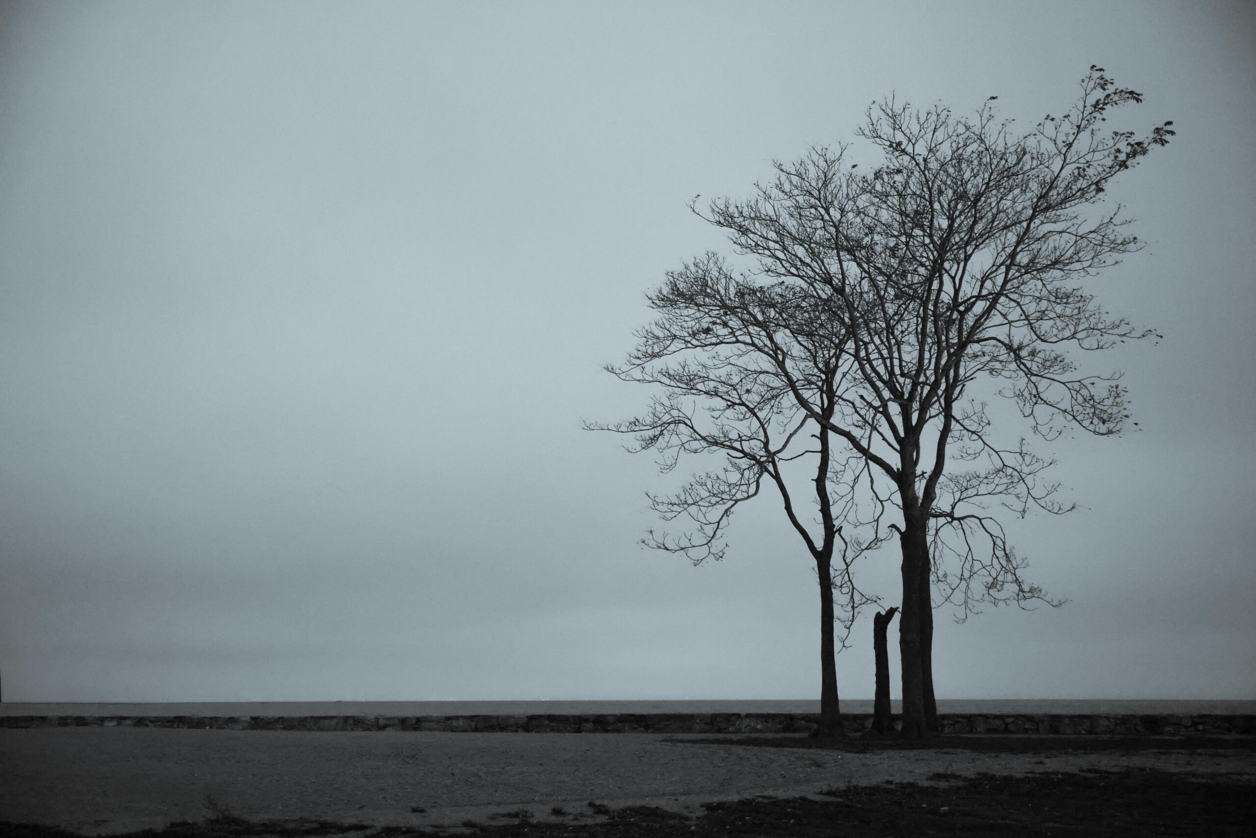 The Church Was Healthy. I Wasn’t. What Nobody Tells You About Church Planting Burnout